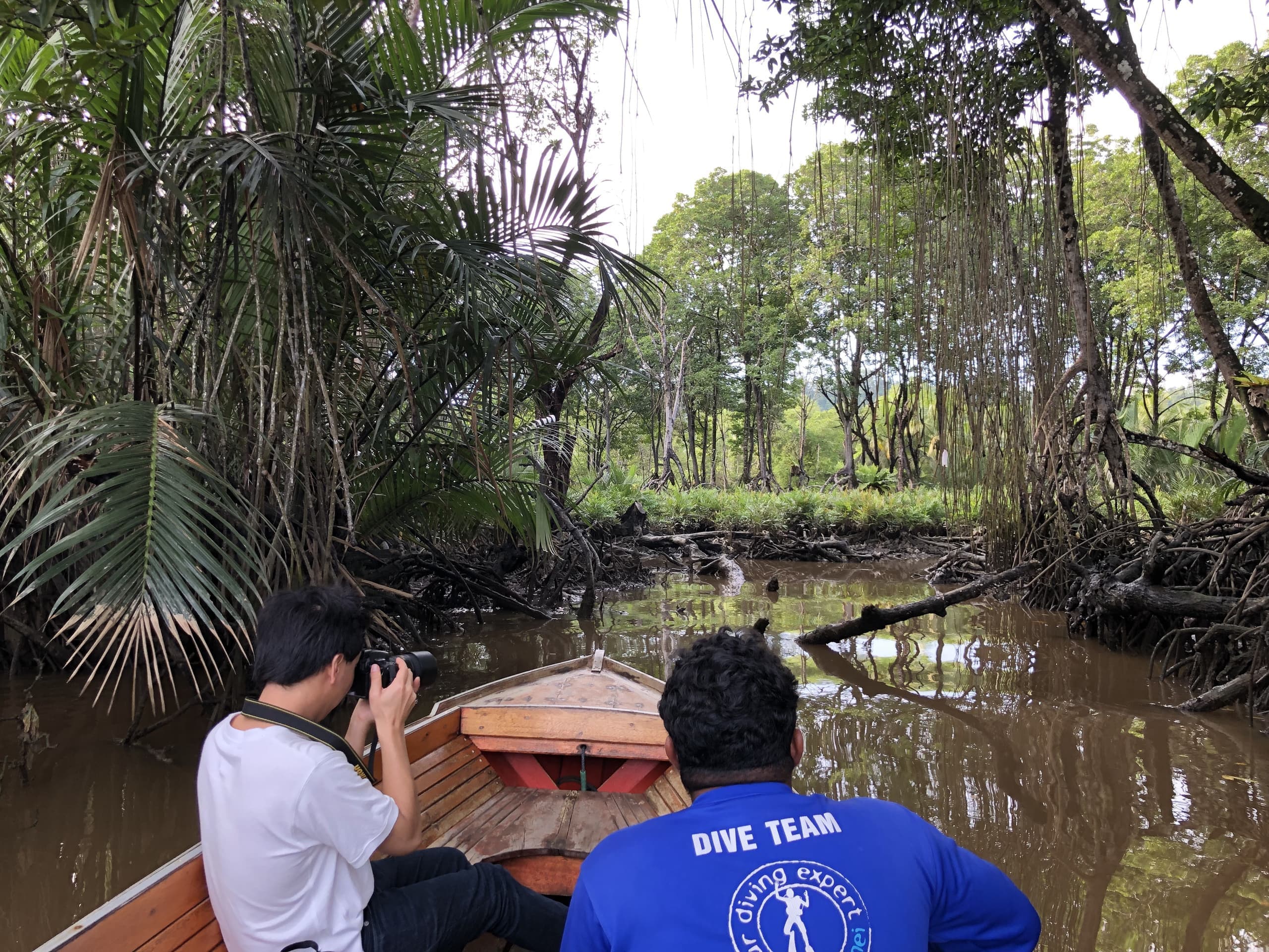 ブルネイ　マングローブツアー