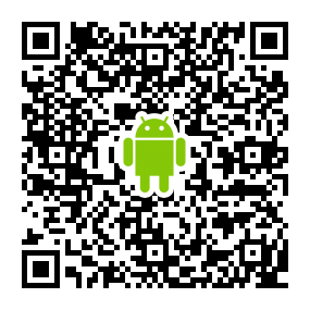 QRアンドロイド Custom.BN