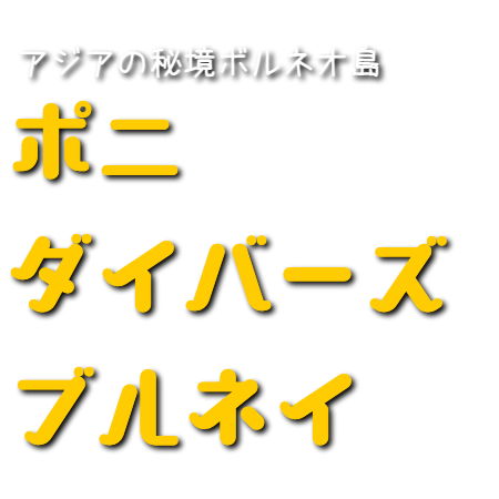 ブルネイダイビングとブルネイ観光