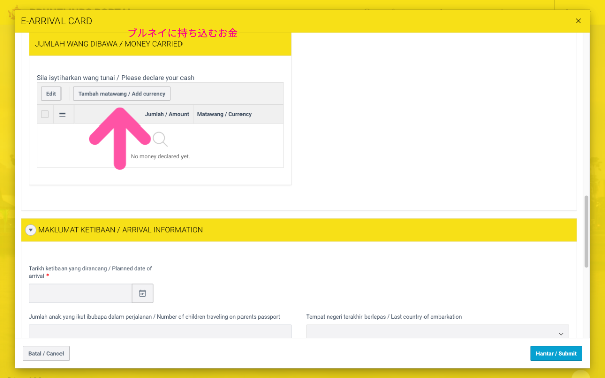 E-ARRIVAL CARD STEP11