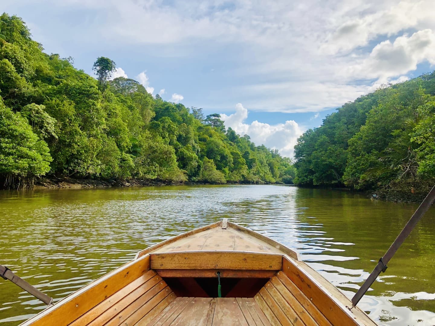 ブルネイ　マングローブツアー